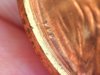 2011 penny VBD 3.jpg