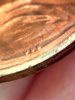 2011 penny VBD 5.jpg