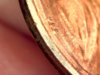2011 penny VBD 6.jpg