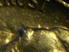 100_5204.JPG