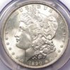1890 Morgan.JPG