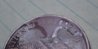 DSCN8885.JPG
