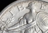 1917A SL  T1 BU0196A.jpg