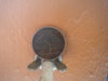 DSCN2573.JPG