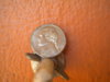 DSCN2579.JPG