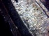 Snapshot_20140311_2.JPG