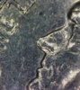 1964 D nickel 4.jpg