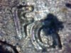Snapshot_20140316_3.JPG