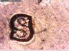 1974 S Close1.jpg