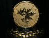 100_kilo_canadian_gold_coin.jpg