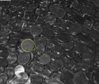 gold coin.JPG