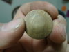 DSC00440.JPG