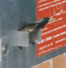 Bird 1.bmp.jpg