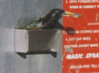 Bird 2.bmp.jpg