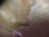 MVC-001F.JPG
