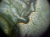 MVC-004F.JPG