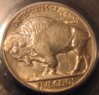 PCGS1928 011 (2).jpg