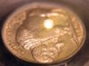 PCGS1928 019 (2).jpg