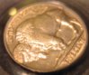 PCGS1928 023 (2).jpg