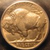 PCGS1928 024 (2).jpg