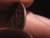 IMGA0562.jpg