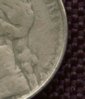 No Date Nickle_2s.jpg