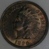 P1010019-oc1.JPG