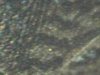 1890-cp.jpg