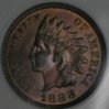 P1010018-oc1.JPG