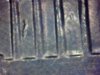 Snapshot_20140329.JPG