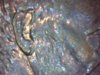 Snapshot_20140329_1.JPG