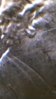 WP_20140418_008.jpg