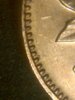 IMG-20140312-09281.jpg