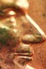 2008 penny 6.jpg