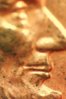 2008 penny 7.jpg