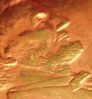 2008 penny 8.jpg
