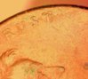 2000 penny TRUST 8.jpg