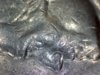 19811981 P nickel 1.jpg