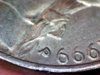 1999 P nickel 2.jpg