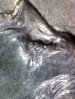 1996 P dime 10.jpg