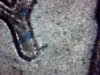 Snapshot_20140513_8.JPG