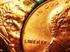 2006 penny ear 3.jpg