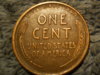 wheat penny collection 060.JPG