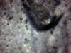 Snapshot_20140517_3.JPG