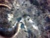 Snapshot_20140517_2.JPG