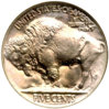1913_nickel_t2_rev.jpg