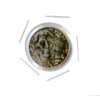 jefferson 2 head nickel.JPG