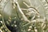 washington dollar.jpg