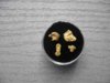 Gold Nugget 025.jpg