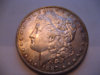 1887-Morgan.jpg